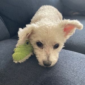 Meet your Posher, Katherine